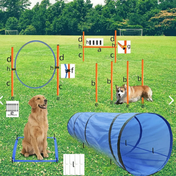 Equipos De Agilidad Perros Cursos De Obstáculos - Imagen 3