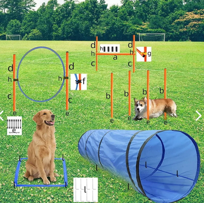 Equipos De Agilidad Perros Cursos De Obstáculos - Imagen 3